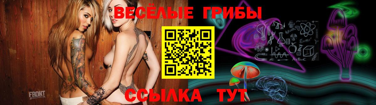Галлюциногенные грибы мицелий Волжский